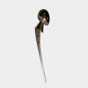 Bipolar Hip Prosthesis